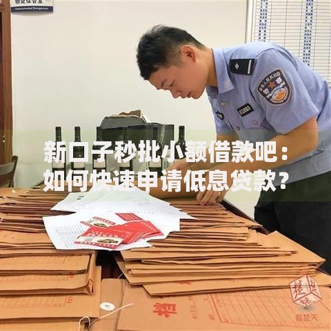 新口子秒批小额借款吧：如何快速申请低息贷款？