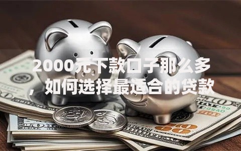 2000元下款口子那么多，如何选择最适合的贷款渠道？