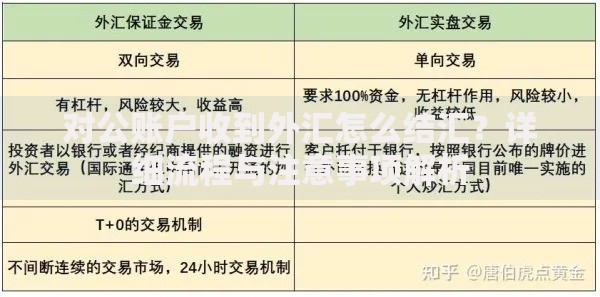 对公账户收到外汇怎么结汇？详细流程与注意事项解析