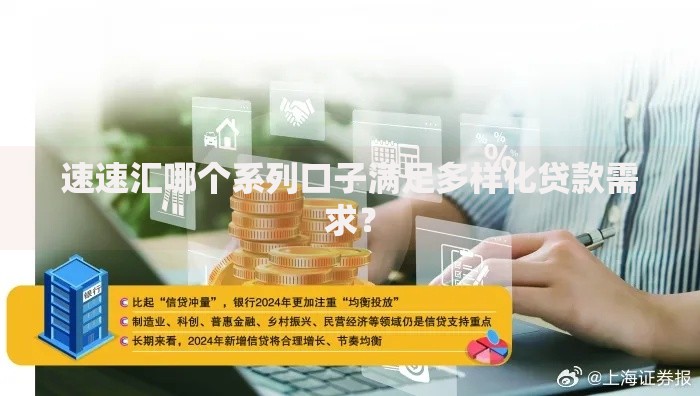 速速汇哪个系列口子满足多样化贷款需求？