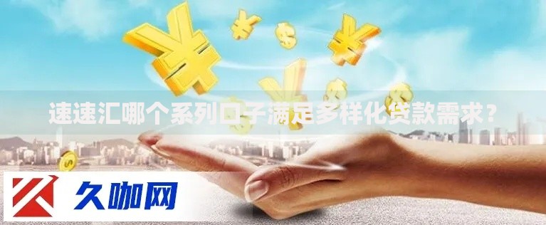 速速汇哪个系列口子满足多样化贷款需求？
