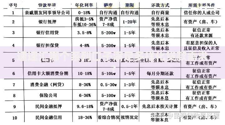 速速汇哪个系列口子满足多样化贷款需求？