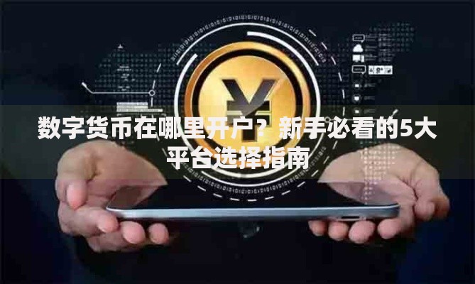 数字货币在哪里开户？新手必看的5大平台选择指南