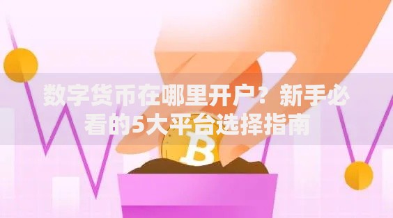 数字货币在哪里开户？新手必看的5大平台选择指南
