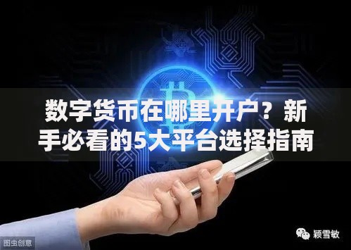 数字货币在哪里开户？新手必看的5大平台选择指南