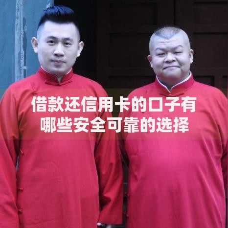 借款还信用卡的口子有哪些安全可靠的选择