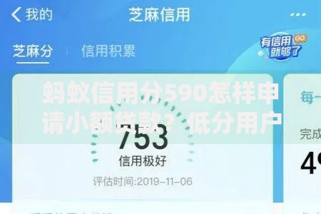蚂蚁信用分590怎样申请小额贷款？低分用户必看攻略