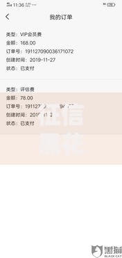 征信黑花了拍拍贷能下款吗？审核标准与借款策略深度解析