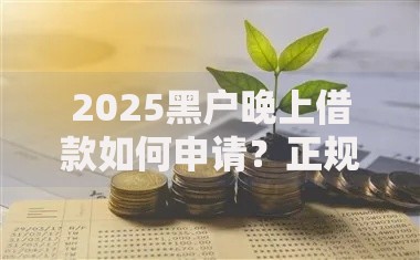 2025黑户晚上借款如何申请？正规渠道与风险防范解析