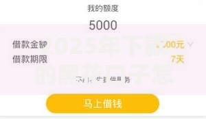 2025年下款的黑花口子怎么样？安全靠谱吗？