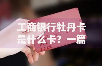 工商银行牡丹卡是什么卡？一篇文章讲透它的功能、优惠和申请技巧
