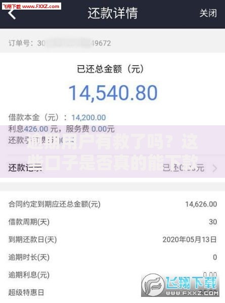 逾期用户有救了吗？这些口子是否真的能下款？深度解析贷款渠道与风险
