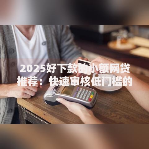 2025好下款的小额网贷推荐：快速审核低门槛的借款平台解析