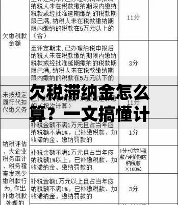 欠税滞纳金怎么算？一文搞懂计算方法和补救技巧