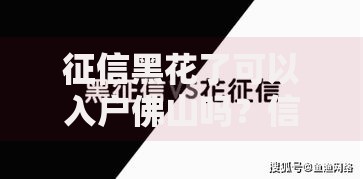 征信黑花了可以入户佛山吗？信用问题与政策条件解析