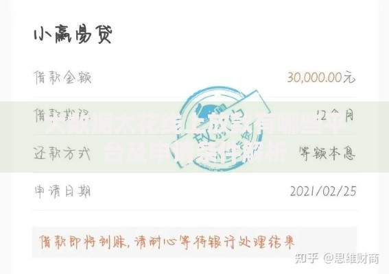 大数据太花线上放款有哪些平台及申请条件解析