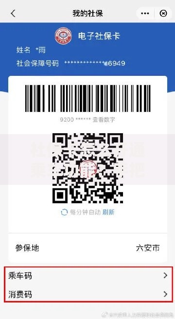 社保卡怎么开通乘车功能？手把手教你一卡多用