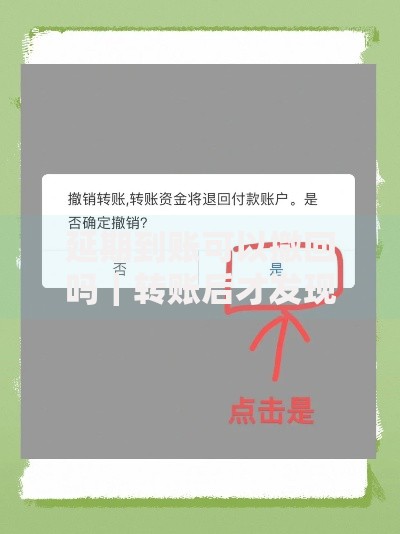 延期到账可以撤回吗｜转账后才发现错误怎么办