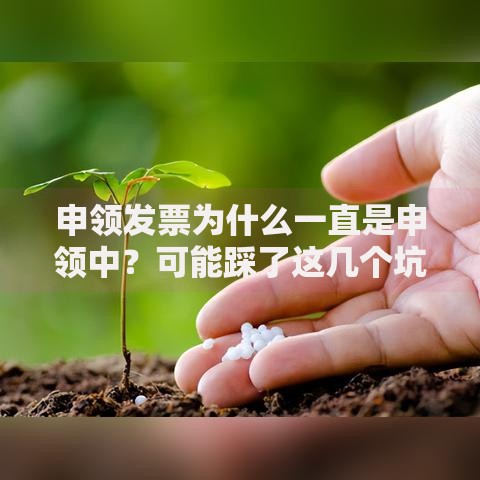 申领发票为什么一直是申领中？可能踩了这几个坑