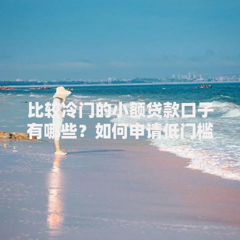 比较冷门的小额贷款口子有哪些？如何申请低门槛贷款