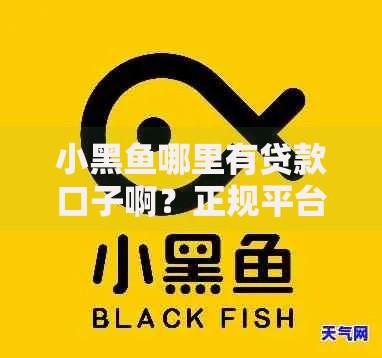 小黑鱼哪里有贷款口子啊？正规平台推荐及申请流程解析