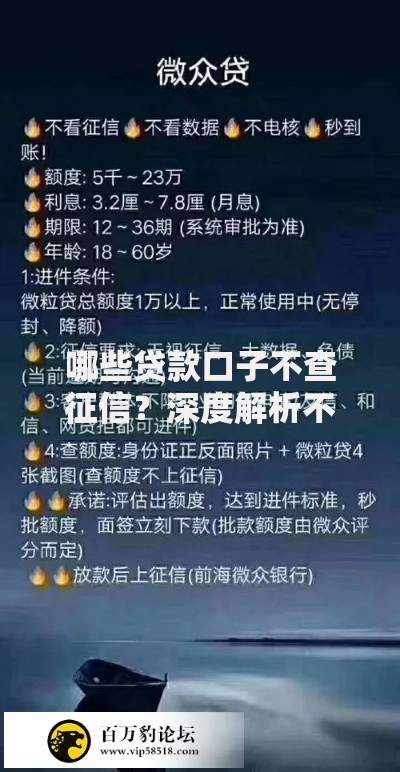 哪些贷款口子不查征信？深度解析不查征信的贷款渠道