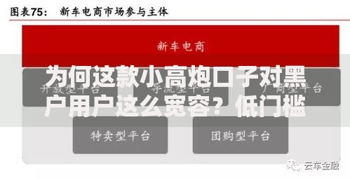 为何这款小高炮口子对黑户用户这么宽容？低门槛贷款深度解析