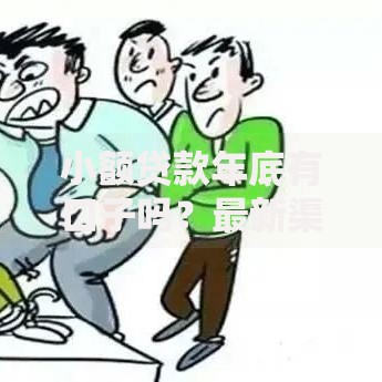 小额贷款年底有口子吗？最新渠道解析与申请攻略