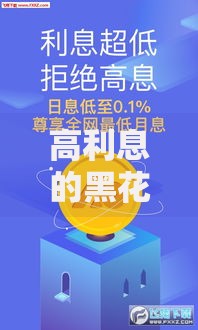 高利息的黑花口子是什么？如何识别与规避风险