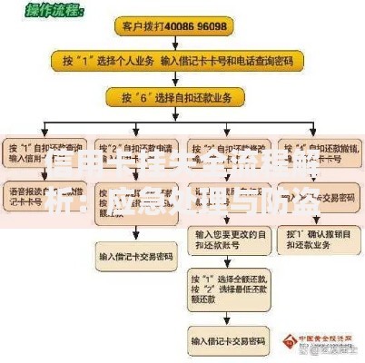 信用卡挂失全流程解析：应急处理与防盗刷技巧