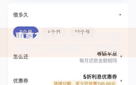 惠享花花贷款怎么样好通过吗？资质要求、审核流程深度解析