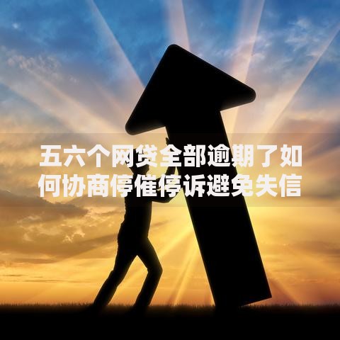 五六个网贷全部逾期了如何协商停催停诉避免失信