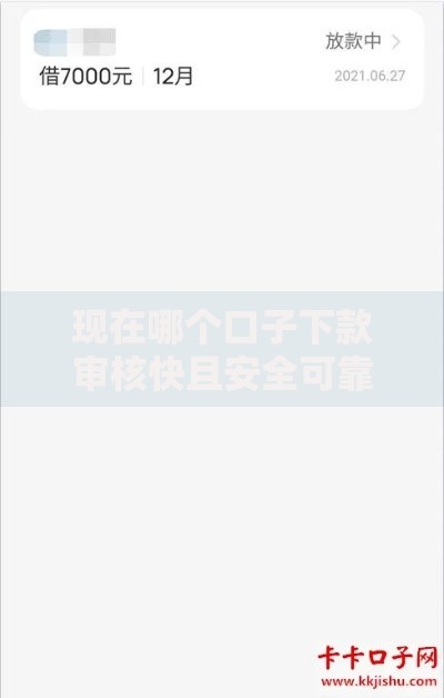 现在哪个口子下款审核快且安全可靠