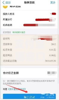 支付宝哪些口子能下款？最新正规借款渠道解析