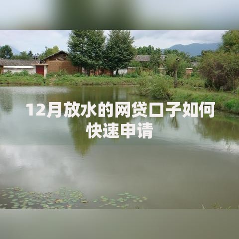12月放水的网贷口子如何快速申请