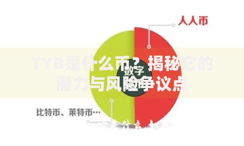 TYB是什么币？揭秘它的潜力与风险争议点
