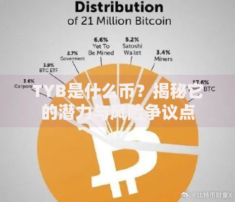 TYB是什么币？揭秘它的潜力与风险争议点