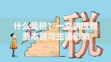 什么是税？一文讲透税费本质与生活影响