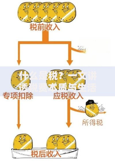 什么是税？一文讲透税费本质与生活影响