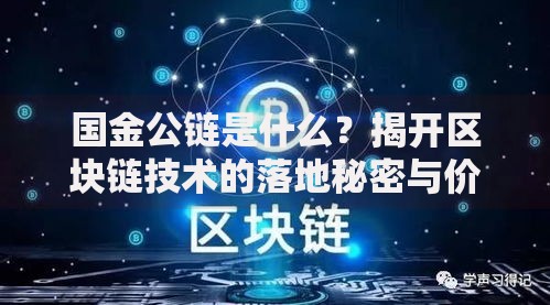 国金公链是什么？揭开区块链技术的落地秘密与价值潜力