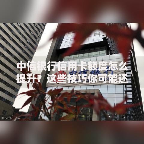 中信银行信用卡额度怎么提升？这些技巧你可能还不知道！