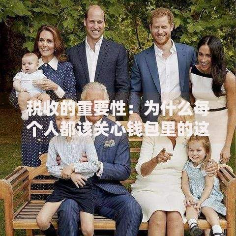 税收的重要性：为什么每个人都该关心钱包里的这笔钱？