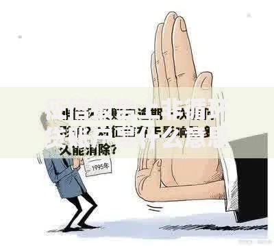 征信报告上非循环贷账户是什么意思？解析定义与影响