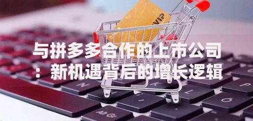 与拼多多合作的上市公司：新机遇背后的增长逻辑与风险考量