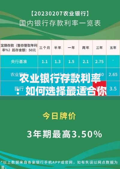 农业银行存款利率：如何选择最适合你的储蓄方案？