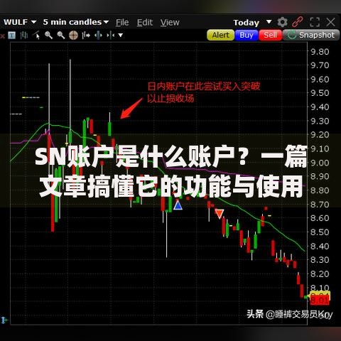 SN账户是什么账户？一篇文章搞懂它的功能与使用场景