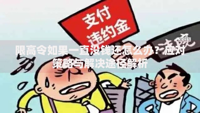 限高令如果一直没钱还怎么办？应对策略与解决途径解析