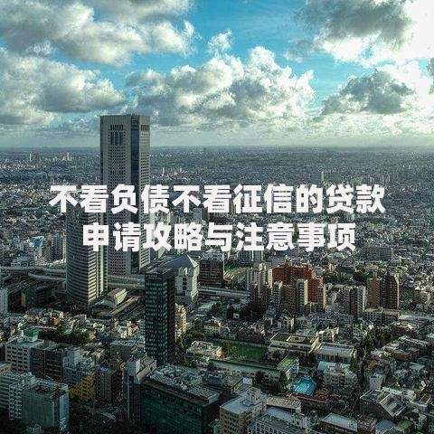 不看负债不看征信的贷款申请攻略与注意事项