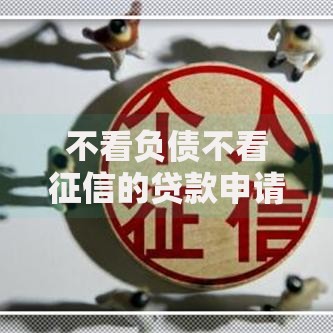 不看负债不看征信的贷款申请攻略与注意事项