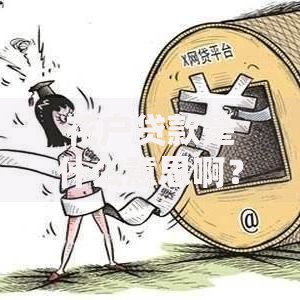 花户贷款是什么意思啊？申请条件与风险解析
